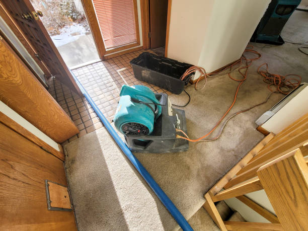 Best Ceiling water damage repair  in Republic, WA