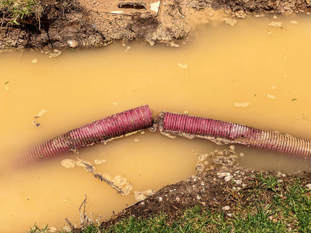 Best Water damage restoration experts  in Republic, WA